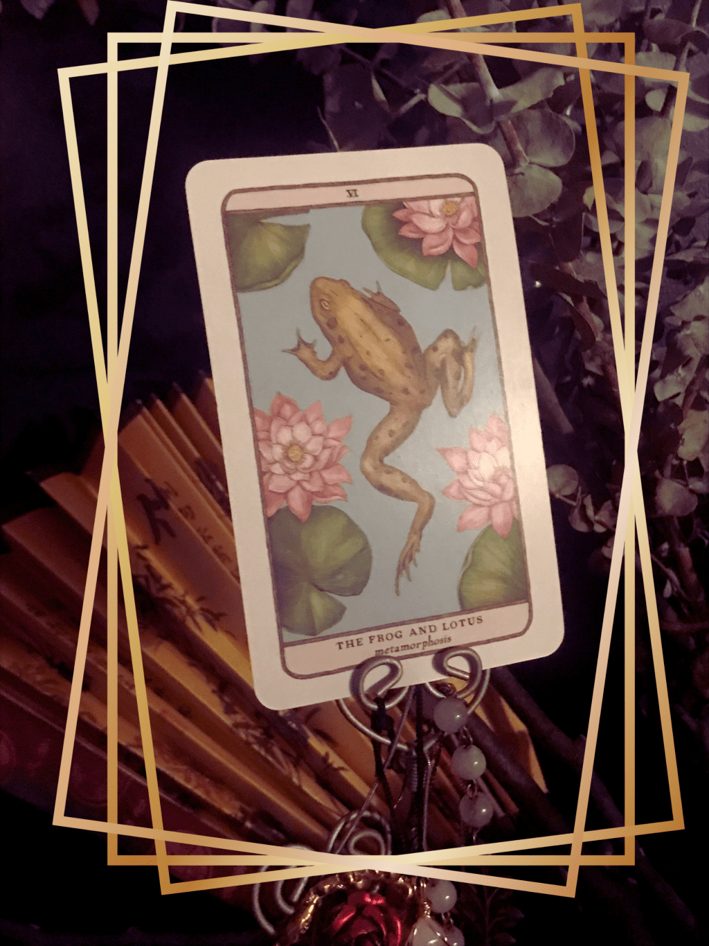 week of the frog + lotus | weekly&nbsp;cards