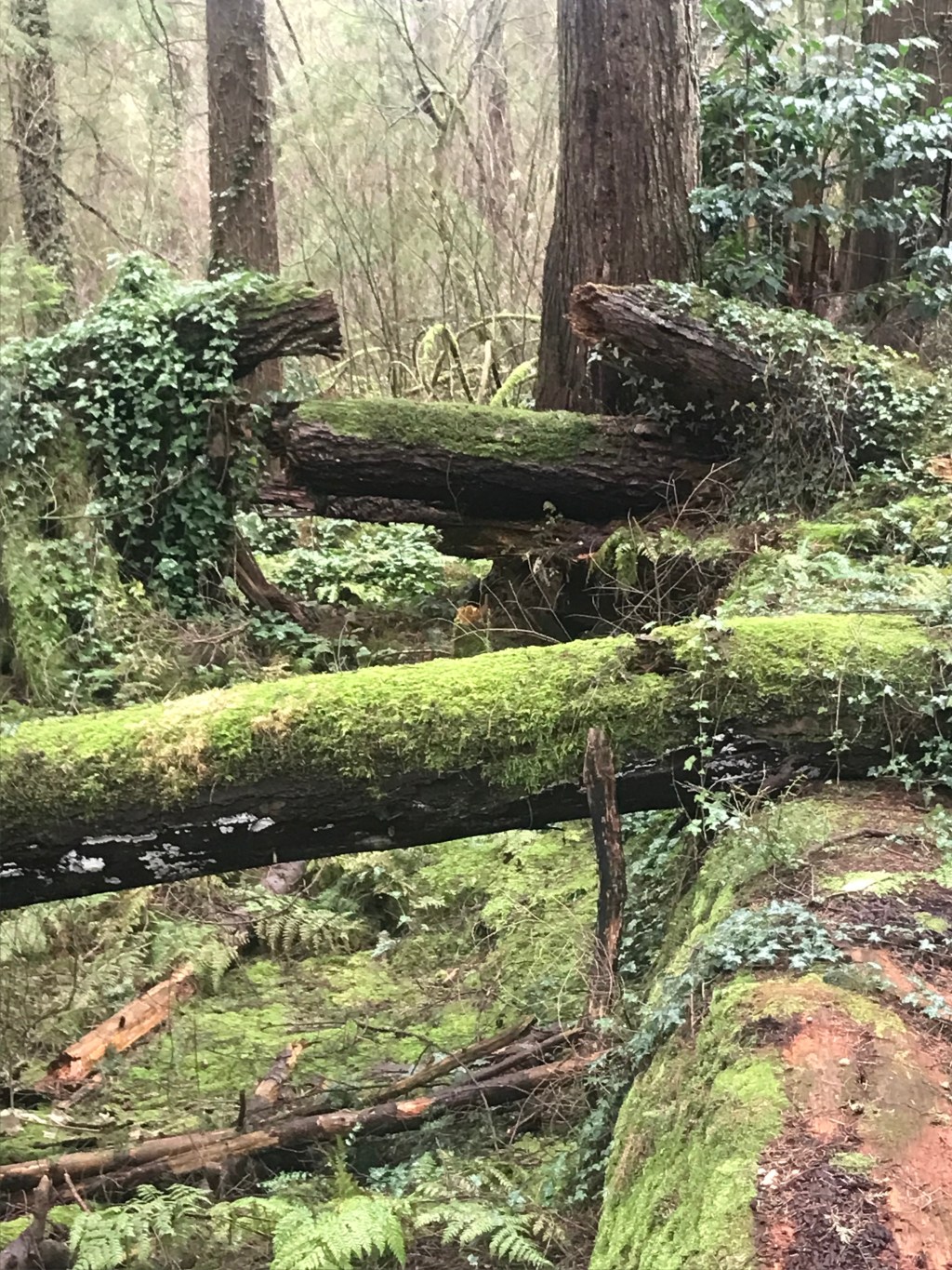 03.06.2025 | vancouver