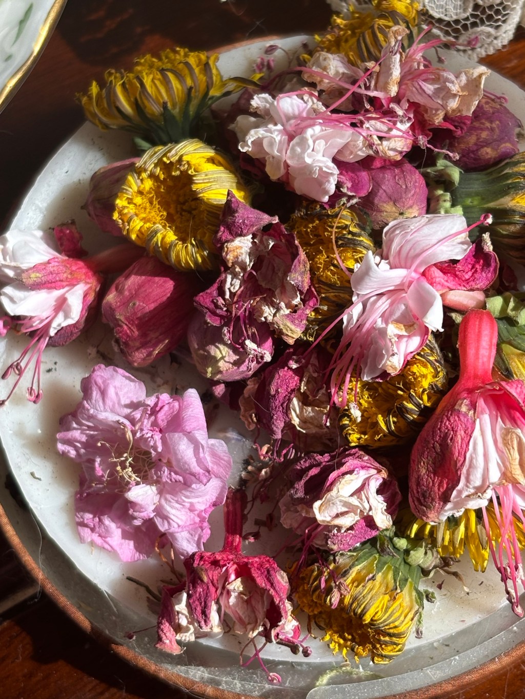 05.11.2025 | week of the chipmunk +&nbsp;laurel